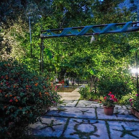 Arya Holiday Houses Çıralı Exterior foto