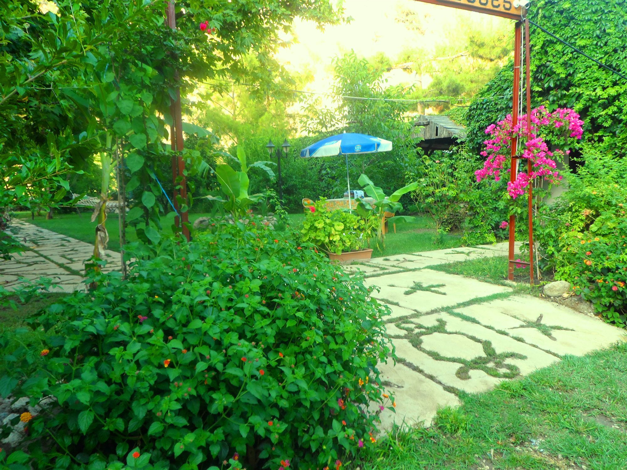 Arya Holiday Houses Çıralı Exterior foto