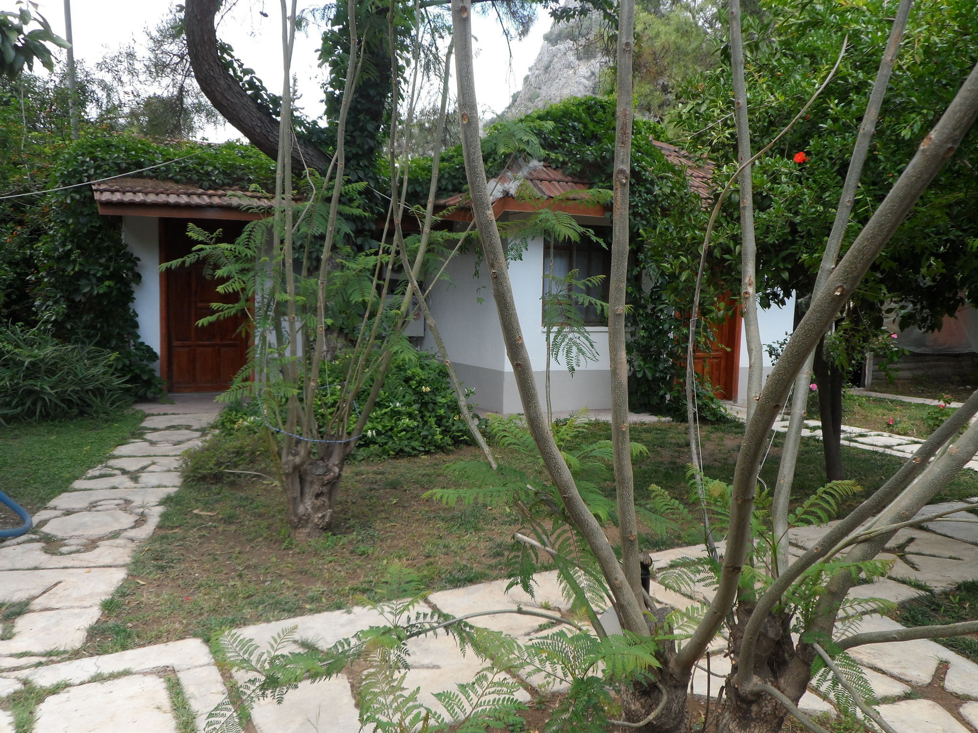 Arya Holiday Houses Çıralı Exterior foto