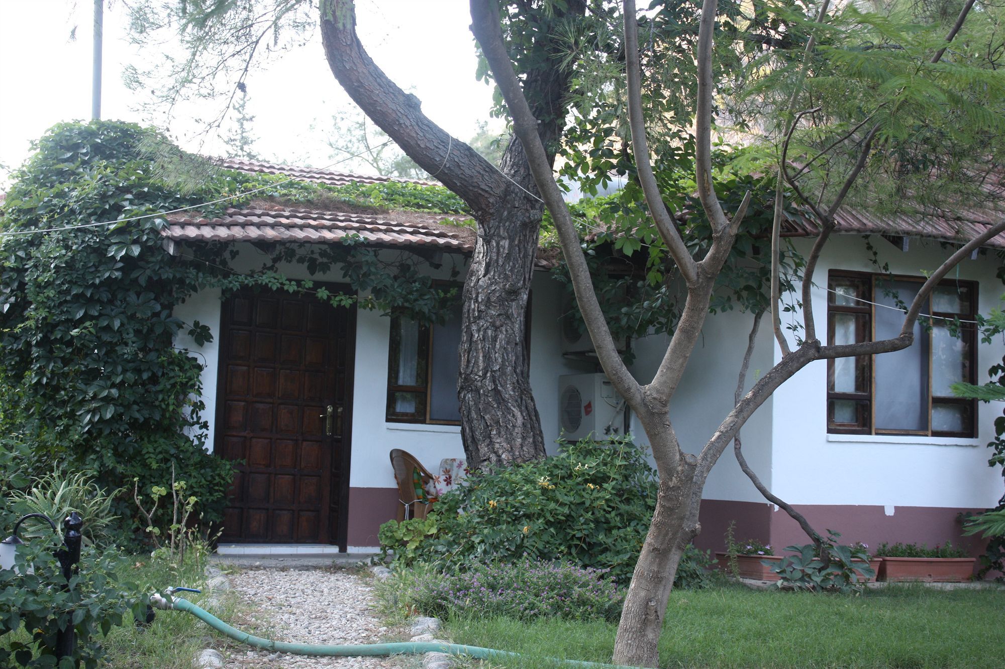 Arya Holiday Houses Çıralı Exterior foto
